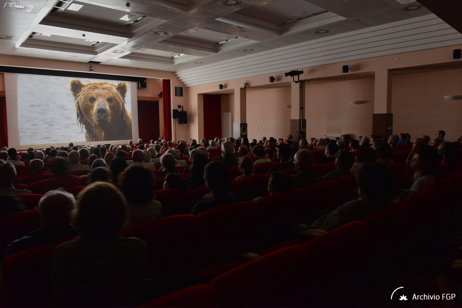 2018-07-23-Proiezione-Concorso-Internazionale -Proiezione-Concorso-Internazionale