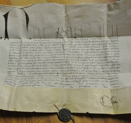 bolla papale bolla papale