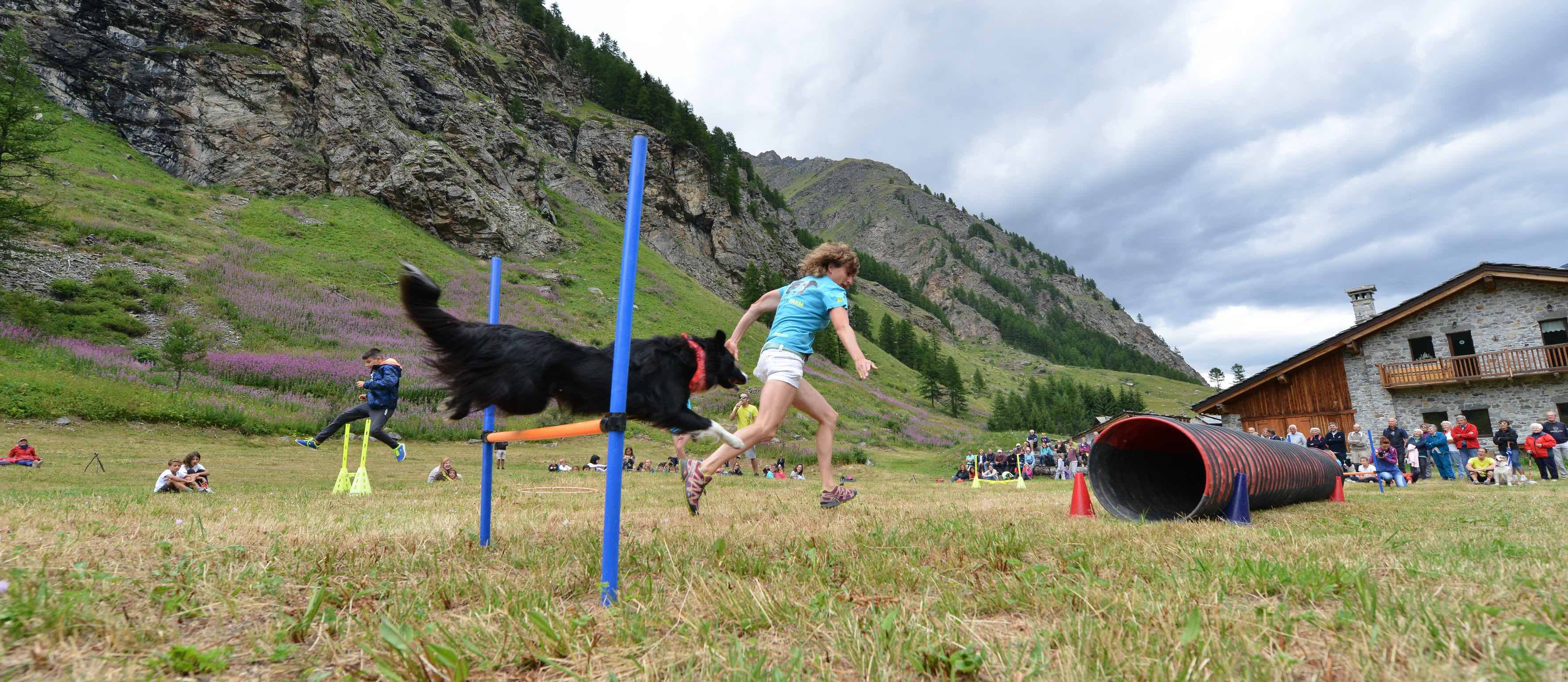 Aria di Festival Aria di Festival