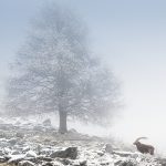 Copertina_in_paradiso_1_web