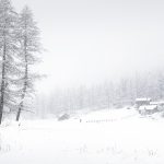 Copertina_in_paradiso_2_web