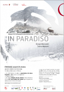 Immagine locandina finissage