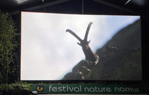 Il Gran Paradiso alla cerimonia di premiazione Il Gran Paradiso alla cerimonia di premiazione