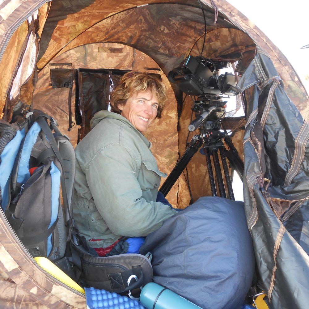 Mille et une traces - Anne Lapied