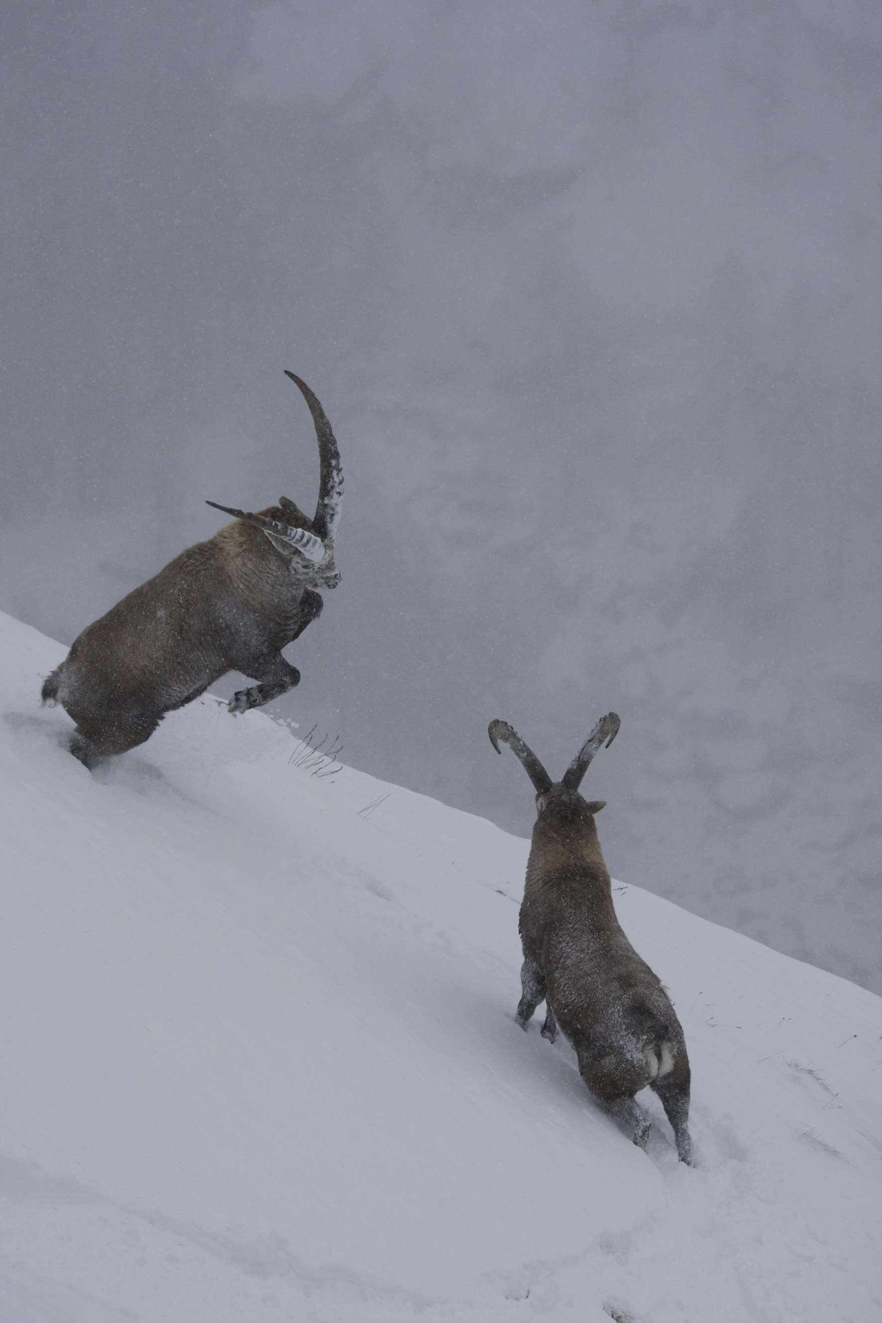 Mille et une traces (2) Mille et une traces