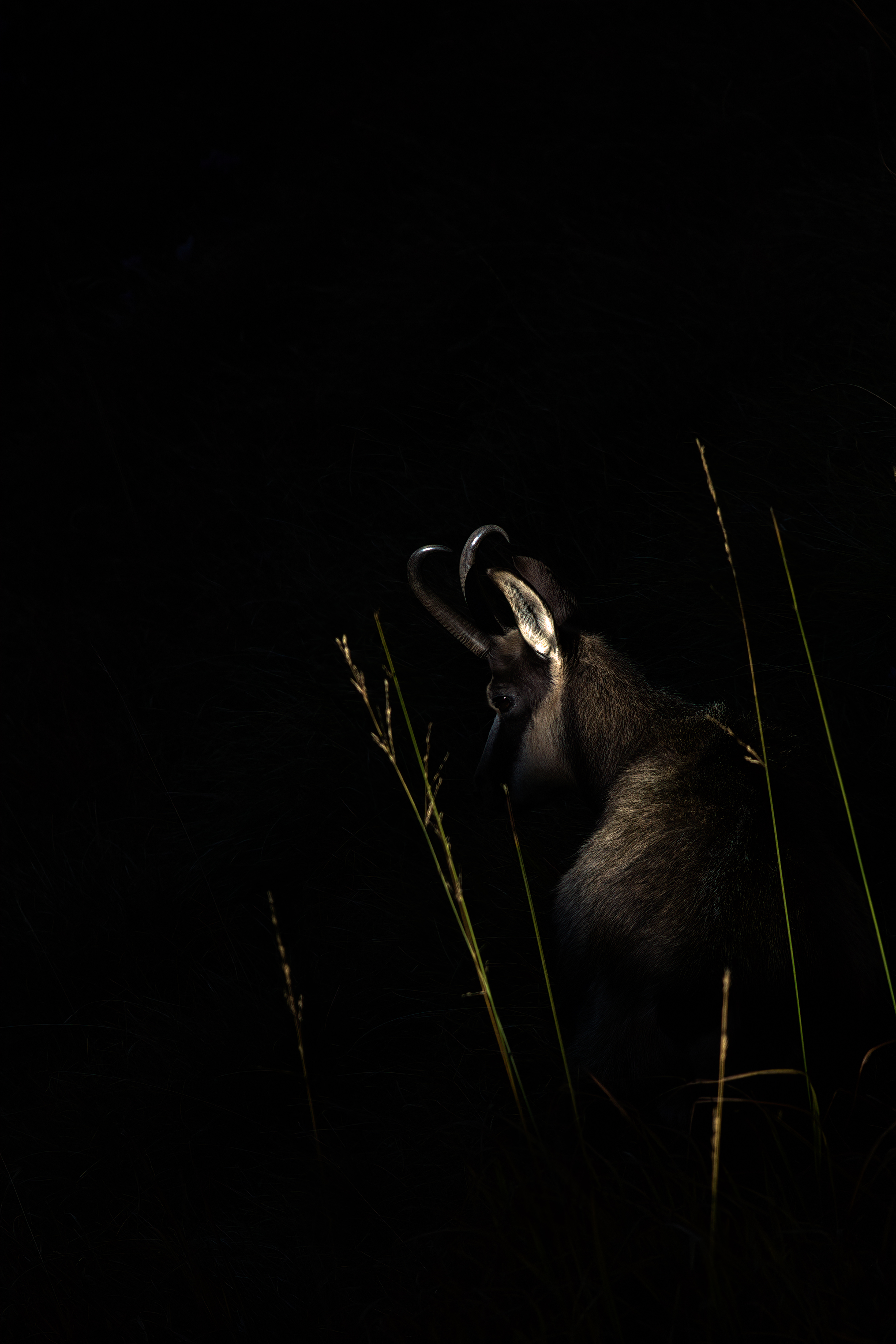 Fabrizio Stefani - Luci, ombre e nulla Fabrizio Stefani - Luci, ombre e nulla