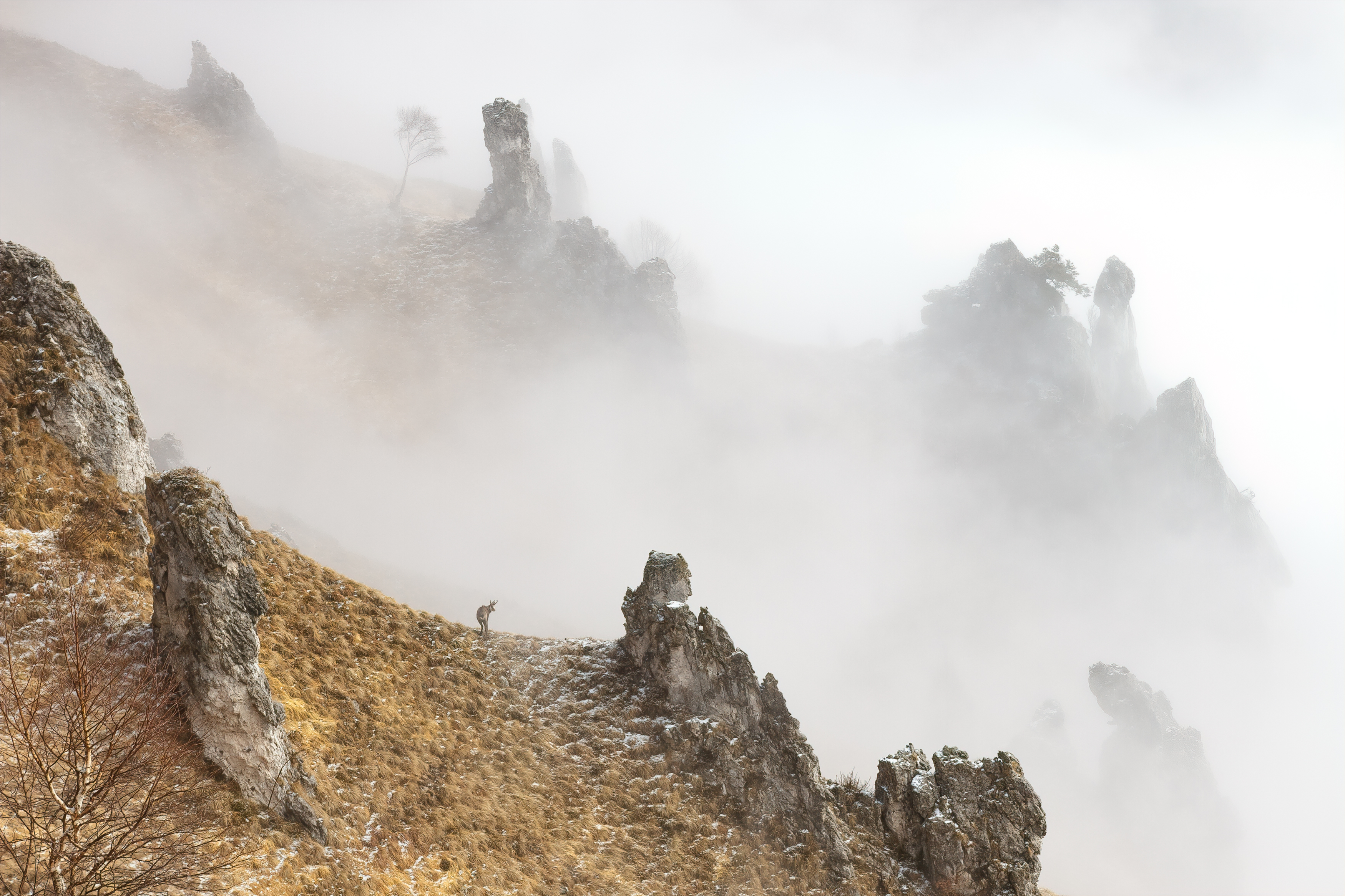 Fabrizio Stefani - Luci, ombre e nulla Fabrizio Stefani - Luci, ombre e nulla