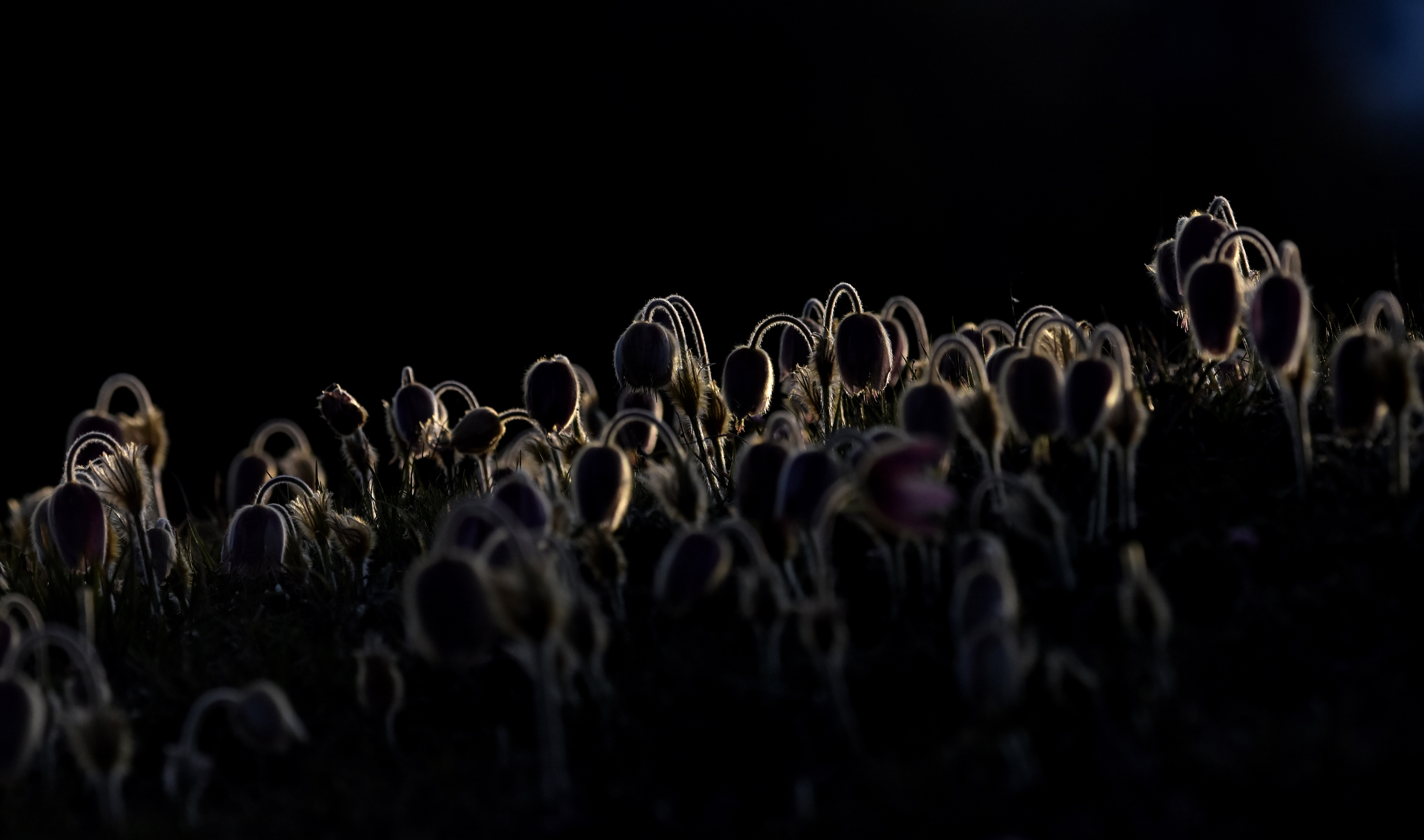 Luigi Rupani - Guai a voi, anime prave! Non isperate mai veder lo cielo Luigi Rupani - Guai a voi, anime prave! Non isperate mai veder lo cielo