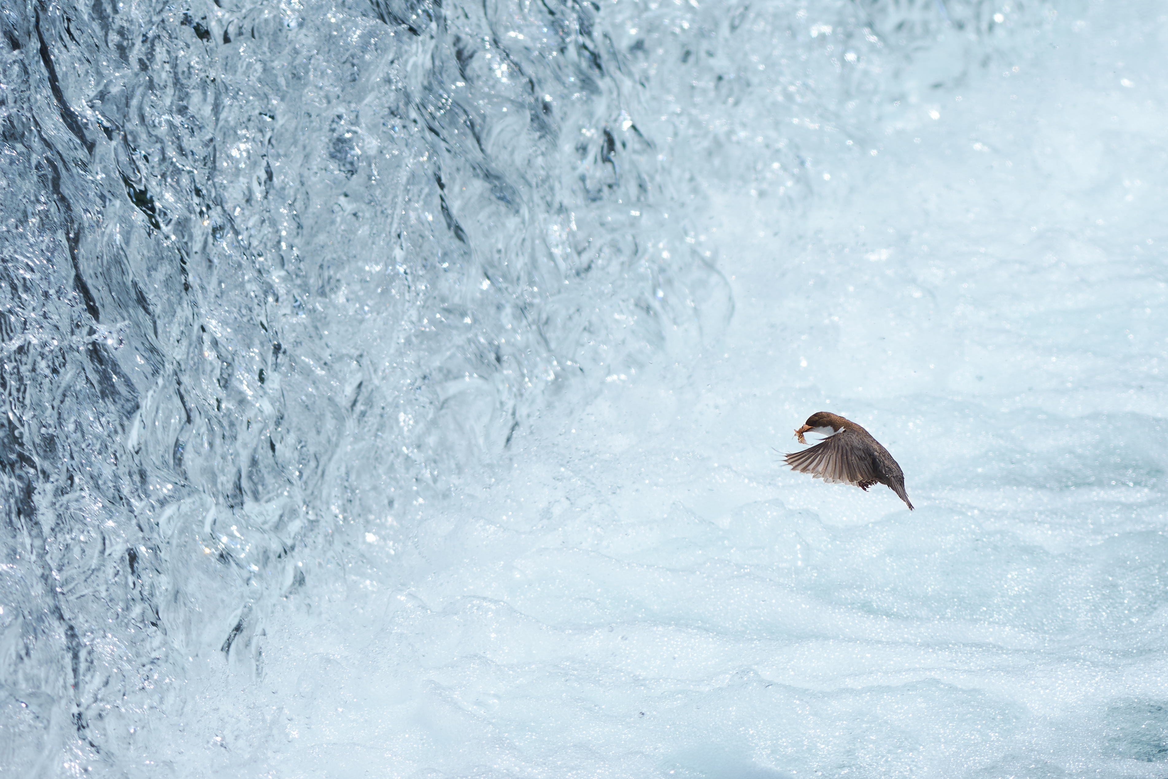Gabriele Calcagno - Momenti di intimità animale Gabriele Calcagno - Momenti di intimità animale