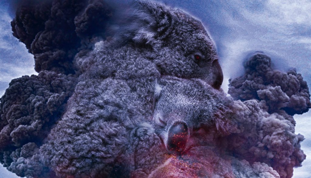 Wild Australia: After The Fires di Cian O’Clery