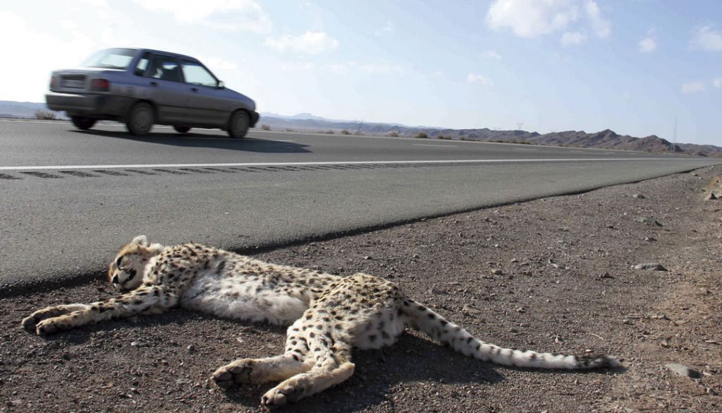 Vortex di Fathollah Amir