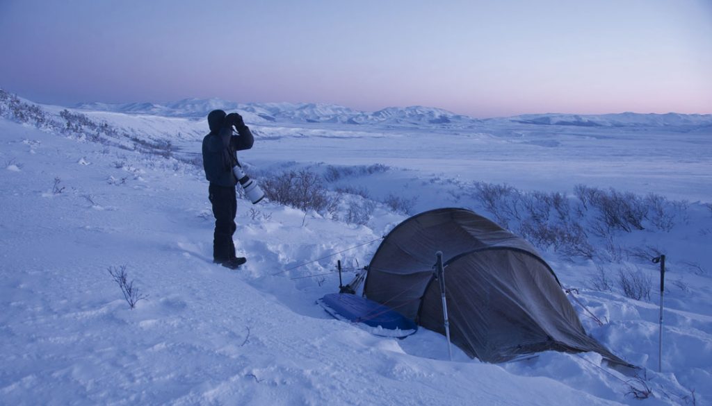 Yukon, Un Rêve Blanc di Mathieu Le Lay