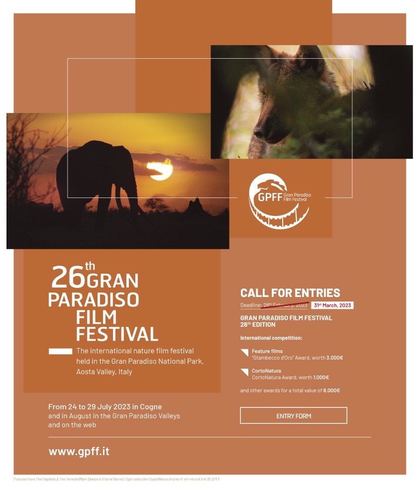 Locandina call 26GPFF